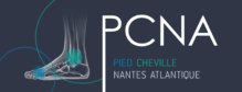Pied Nantes